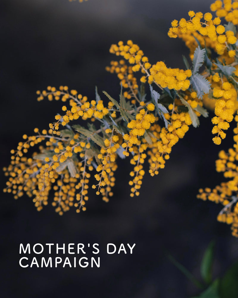 MOTHER'S DAY CAMPAIGN
